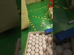 Μηχανή εκτύπωσης με οθόνη και συσκευασίας σάκων